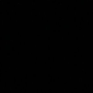 Meet your Posher, Yasemin